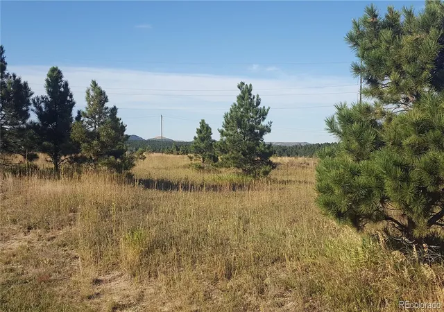 Homes for sale in Monument, CO | 16935 Oldborough Hts, Monument, CO 80132 | MLS# 8295005