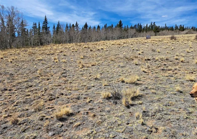 Homes for sale in Como, CO | 541 War Ln, Como, CO 80432 | MLS# 9483460
