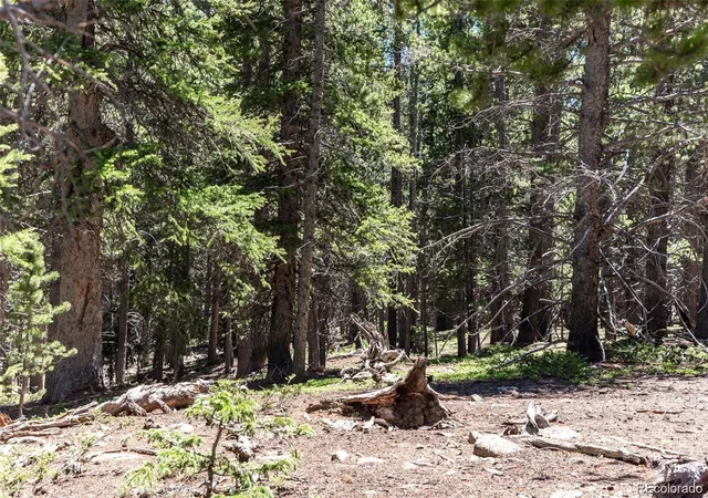 Photo 1 of Land for sale at 176 Gold Trl Cir, Fairplay, CO 80440 | MLS# 7445238 | Listing updated on 2026-07-15