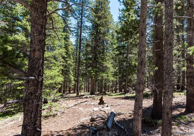 Photo 30 of Land for sale at 176 Gold Trl Cir, Fairplay, CO 80440 | MLS# 7445238 | Listing updated on 2026-07-15