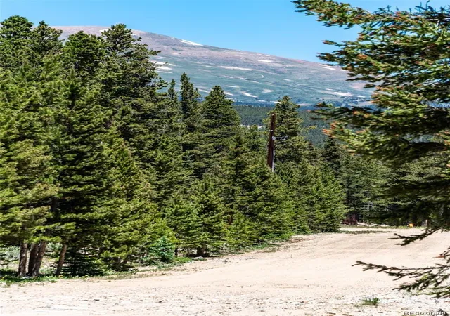 Land for sale at 176 Gold Trl Cir, Fairplay, CO 80440 | MLS# 7445238