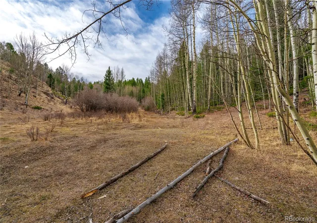 Homes for sale in Cripple Creek, CO | 130 Grey Eagle Wy, Cripple Creek, CO 80813 | MLS# 2790926