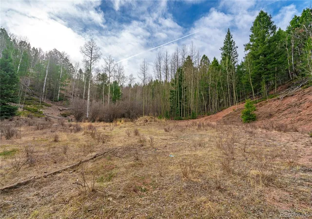 Homes for sale in Cripple Creek, CO | 130 Grey Eagle Wy, Cripple Creek, CO 80813 | MLS# 2790926