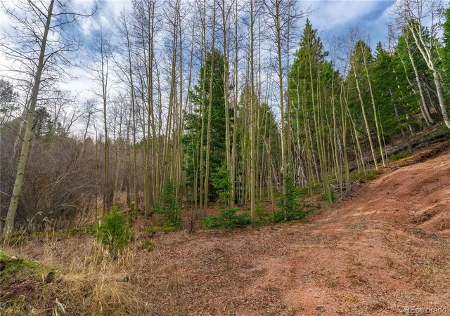 Homes for sale in Cripple Creek, CO | 130 Grey Eagle Wy, Cripple Creek, CO 80813 | MLS# 2790926