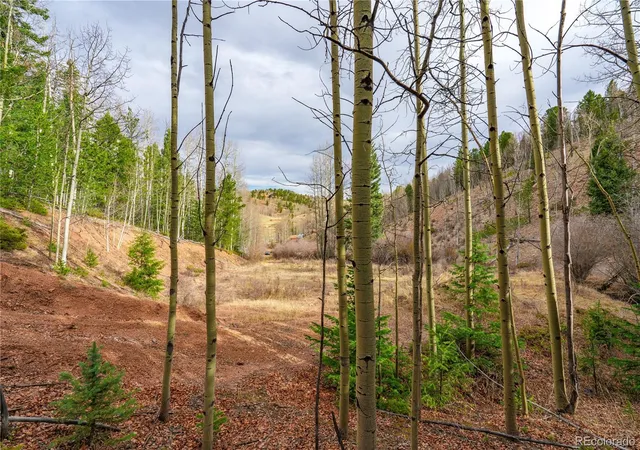 Homes for sale in Cripple Creek, CO | 130 Grey Eagle Wy, Cripple Creek, CO 80813 | MLS# 2790926