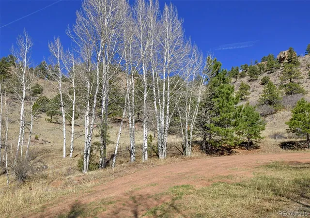 Homes for sale in Florissant, CO | 221 Floresta, Florissant, CO 80816 | MLS# 3031846