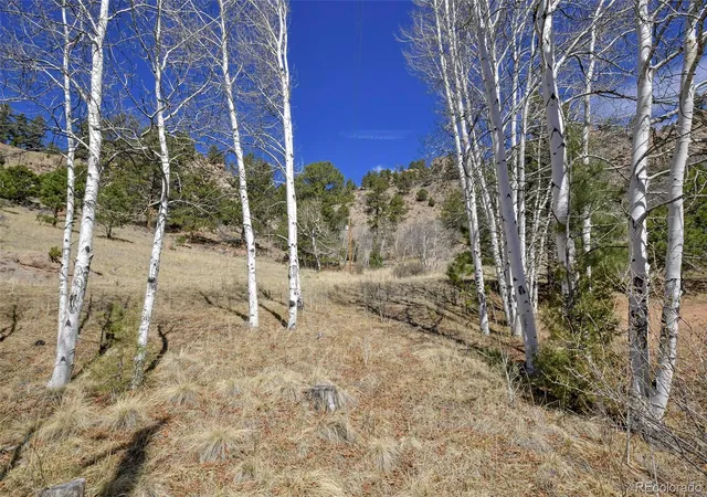 Homes for sale in Florissant, CO | 221 Floresta, Florissant, CO 80816 | MLS# 3031846