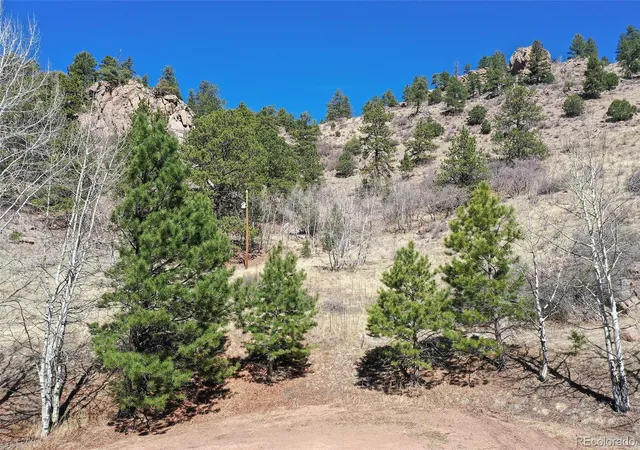 Homes for sale in Florissant, CO | 221 Floresta, Florissant, CO 80816 | MLS# 3031846