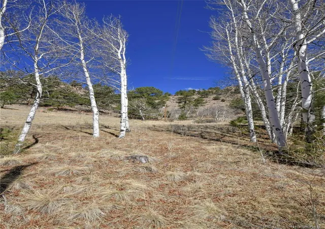 Homes for sale in Florissant, CO | 221 Floresta, Florissant, CO 80816 | MLS# 3031846