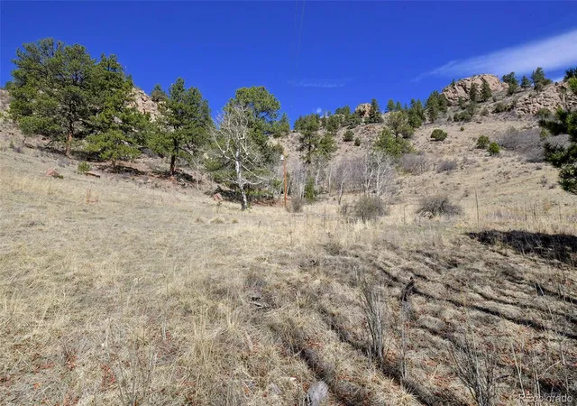 Homes for sale in Florissant, CO | 221 Floresta, Florissant, CO 80816 | MLS# 3031846