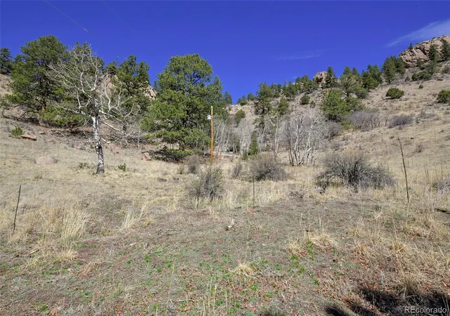 Homes for sale in Florissant, CO | 221 Floresta, Florissant, CO 80816 | MLS# 3031846
