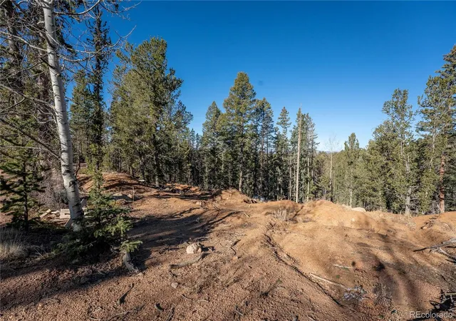 4th image of 565 Fairview Dr, Woodland Park, CO 80863 | MLS# 6154335