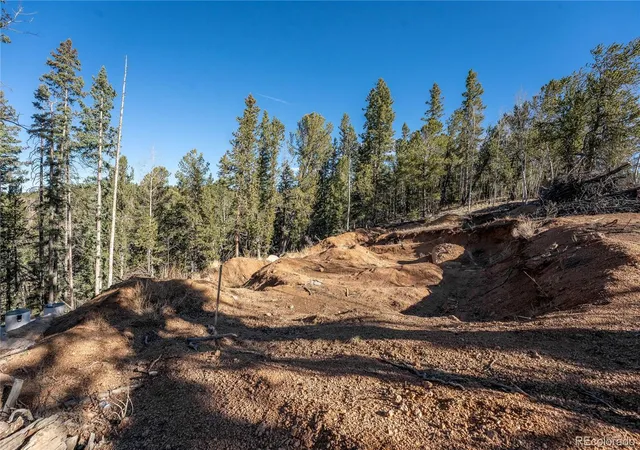 5th image of 565 Fairview Dr, Woodland Park, CO 80863 | MLS# 6154335