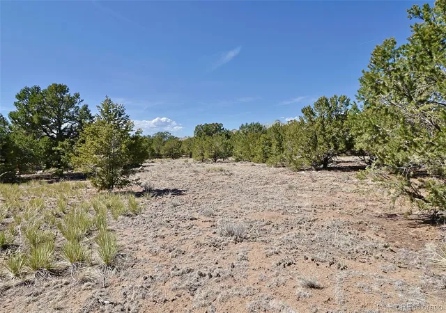 Homes for sale in Crestone, CO | 3921 Cordial Wy, Crestone, CO 81131 | MLS# 9808353