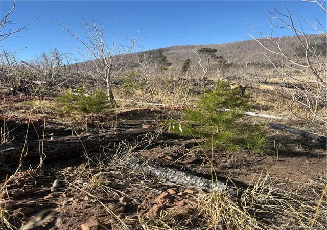 Photo 4 of Land for sale at 000 Riccardo Ln, Fort Garland, CO 81133 | MLS# 9629880 | Listing updated on 2026-08-21