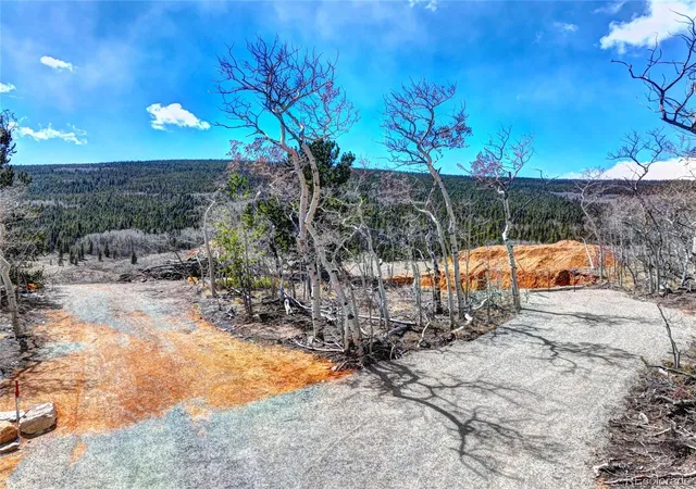 Homes for sale in Fairplay, CO | 2515 High Creek Rd, Fairplay, CO 80440 | MLS# 3718663