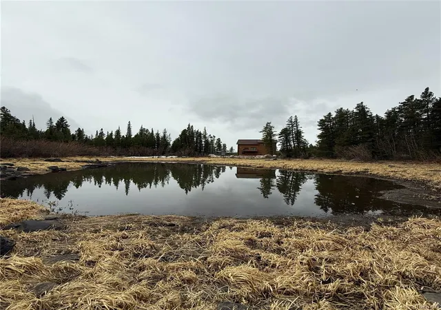 Homes for sale in Idaho Springs, CO | 91 Lake Rd, Idaho Springs, CO 80452 | MLS# 2874895