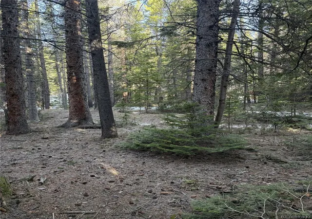 Homes for sale in Idaho Springs, CO | 611 Silver Creek Rd, Idaho Springs, CO 80452 | MLS# 2443169