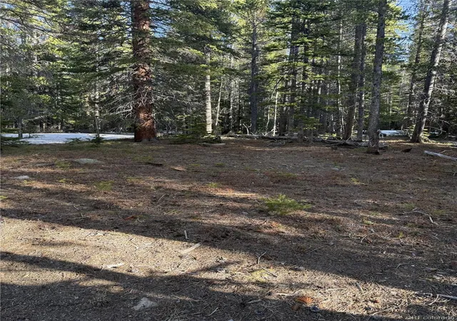 Homes for sale in Idaho Springs, CO | 611 Silver Creek Rd, Idaho Springs, CO 80452 | MLS# 2443169