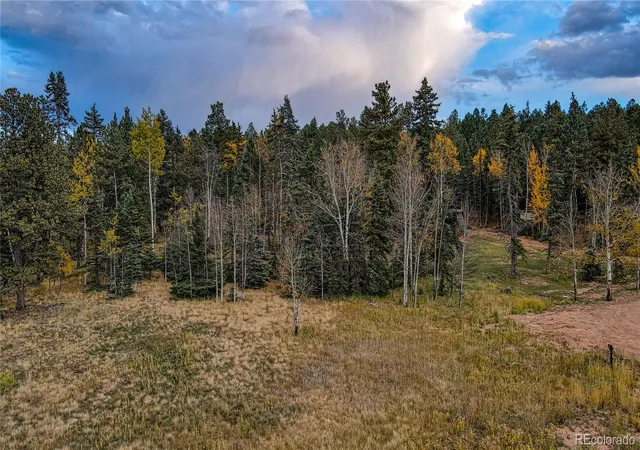2nd image of 166 Denwood Dr, Florissant, CO 80816 | MLS# 9940206