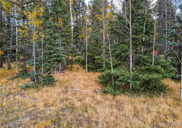 5th image of 166 Denwood Dr, Florissant, CO 80816 | MLS# 9940206