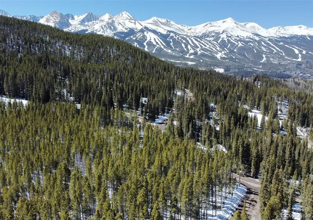 Homes for sale in Breckenridge, CO | 0118 Cr 535, Breckenridge, CO 80424 | MLS# 2917030