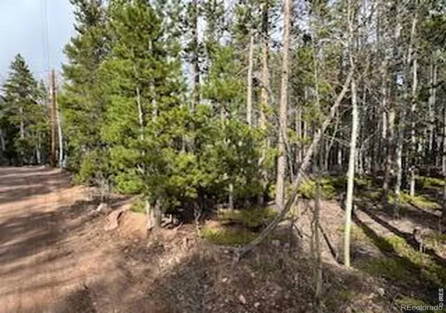 19th image of 2581 Shoshoni Dr, Red Feather Lakes, CO 80545 | MLS# IR1055434
