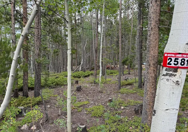 1st image of 2581 Shoshoni Dr, Red Feather Lakes, CO 80545 | MLS# IR1055434