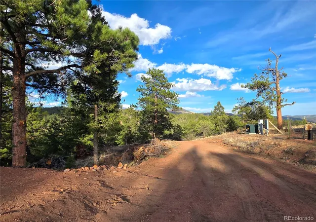 33rd image of 204 Pine Rd, Florissant, CO 80816 | MLS# 2845410