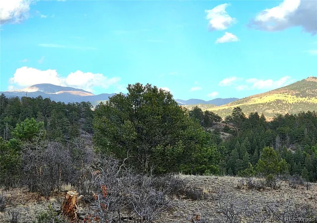 3rd image of 204 Pine Rd, Florissant, CO 80816 | MLS# 2845410