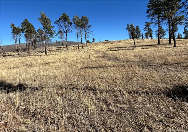 Homes for sale in Fort Garland, CO | 00 Hart Ln, Fort Garland, CO 81133 | MLS# 7295828