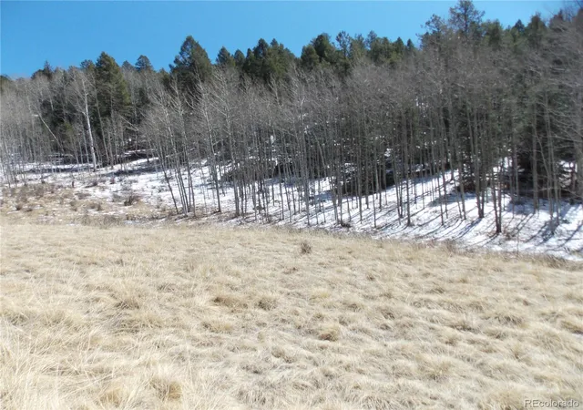 Homes for sale in Cripple Creek, CO | 388 Grey Eagle Dr, Cripple Creek, CO 80813 | MLS# 8290081