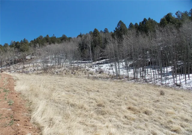 Homes for sale in Cripple Creek, CO | 388 Grey Eagle Dr, Cripple Creek, CO 80813 | MLS# 8290081