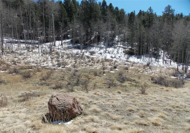 Homes for sale in Cripple Creek, CO | 388 Grey Eagle Dr, Cripple Creek, CO 80813 | MLS# 8290081