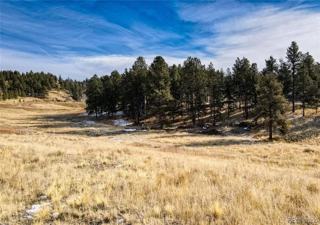 Homes for sale in Florissant, CO | 150 High Pasture Rd, Florissant, CO 80816 | MLS# 3512588