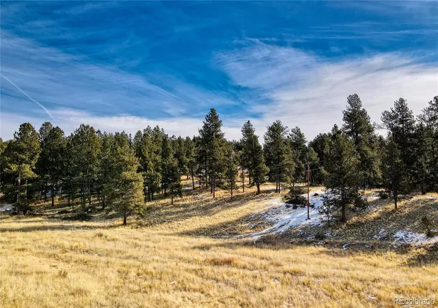 Homes for sale in Florissant, CO | 150 High Pasture Rd, Florissant, CO 80816 | MLS# 3512588
