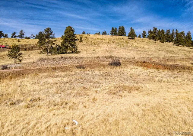 Homes for sale in Florissant, CO | 150 High Pasture Rd, Florissant, CO 80816 | MLS# 3512588