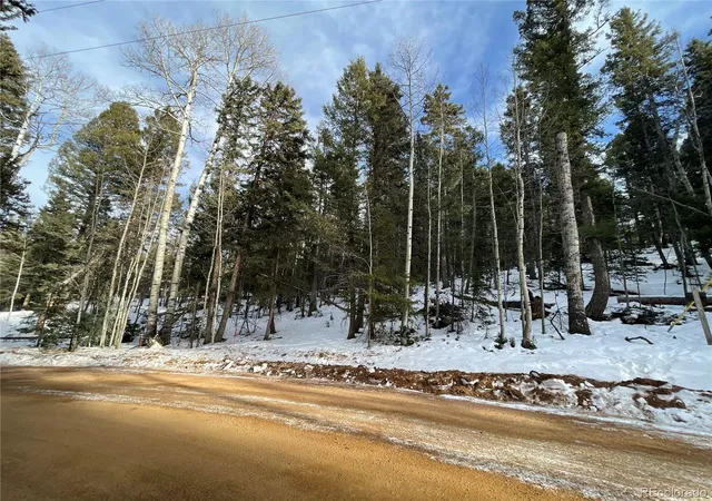 Homes for sale in Florissant, CO | 222 Banner Trl, Florissant, CO 80816 | MLS# 3774359