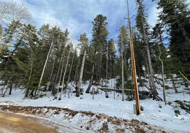Homes for sale in Florissant, CO | 222 Banner Trl, Florissant, CO 80816 | MLS# 3774359