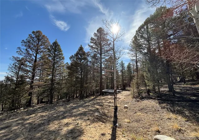 1st image of 1980 Pitchfork Rd, Hartsel, CO 80449 | MLS# 5220311