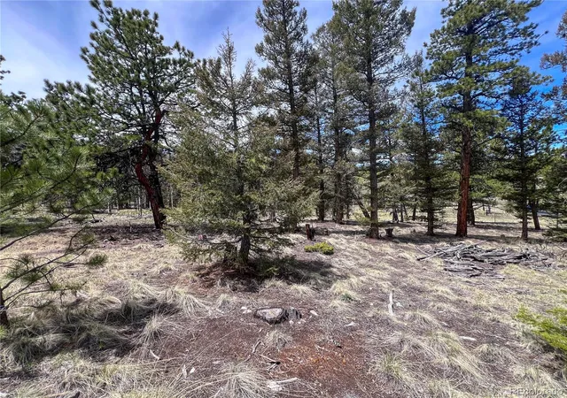 4th image of 1980 Pitchfork Rd, Hartsel, CO 80449 | MLS# 5220311