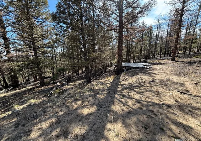 2nd image of 1980 Pitchfork Rd, Hartsel, CO 80449 | MLS# 5220311
