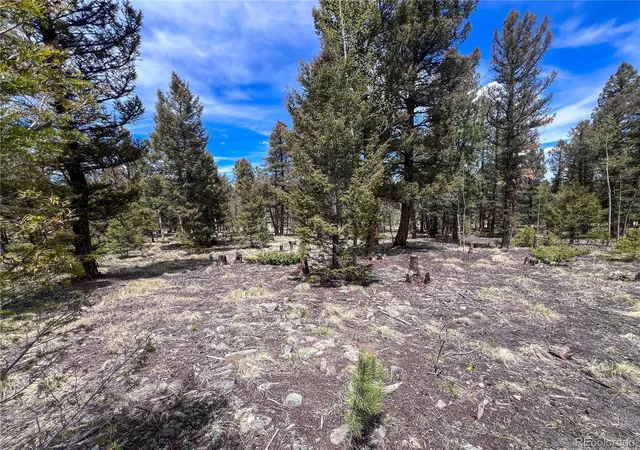 5th image of 1980 Pitchfork Rd, Hartsel, CO 80449 | MLS# 5220311