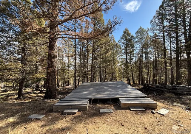 3rd image of 1980 Pitchfork Rd, Hartsel, CO 80449 | MLS# 5220311