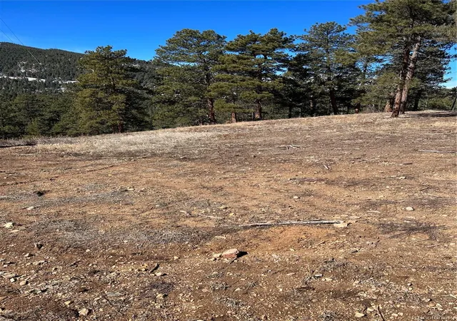 Homes for sale in Morrison, CO | Lot 1 Iowa Gulch Rd, Morrison, CO 80465 | MLS# 7248266