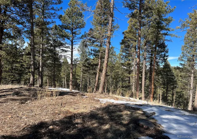 Homes for sale in Morrison, CO | 7871 Gold Rush, Morrison, CO 80465 | MLS# 4393564