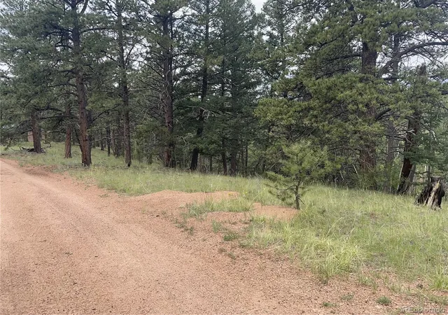 Photo 1 of Land for sale at 452 Wilson Dr, Florissant, CO 80816 | MLS# 9496933 | Listing updated on 2026-04-04