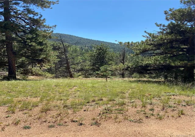 Photo 2 of Land for sale at 452 Wilson Dr, Florissant, CO 80816 | MLS# 9496933 | Listing updated on 2026-04-04