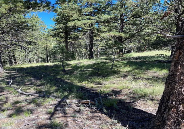 Photo 3 of Land for sale at 452 Wilson Dr, Florissant, CO 80816 | MLS# 9496933 | Listing updated on 2026-04-04