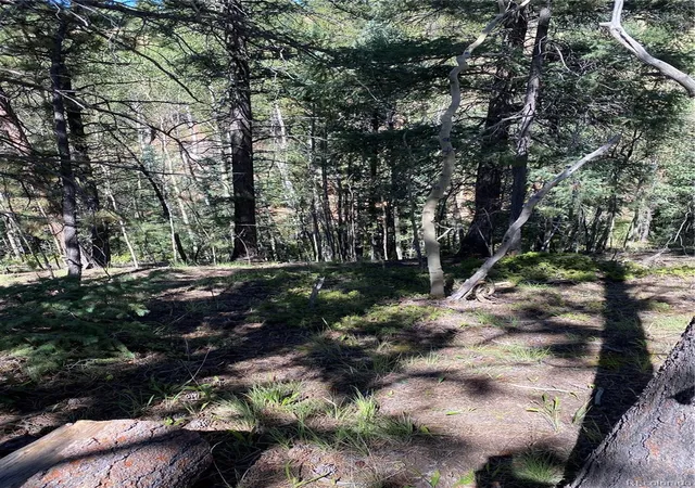 Photo 3 of Land for sale at 452 Wilson Dr, Florissant, CO 80816 | MLS# 9496933 | Listing updated on 2026-04-04